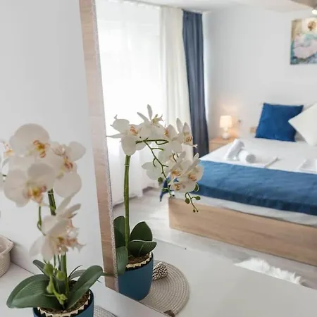 Apartment Artistic Space Near Chataldzha